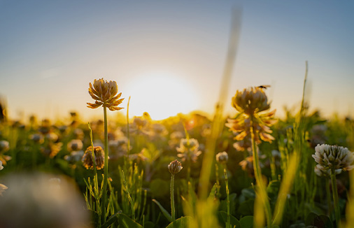 見る Photo gallery