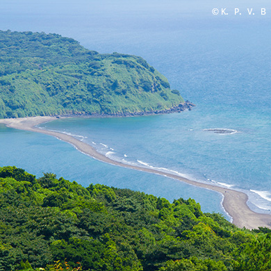 知林ヶ島イメージ